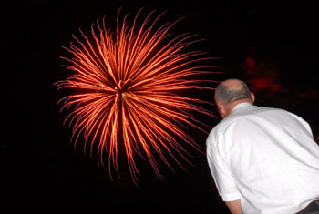 calvitie la solution